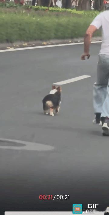 视频里，时不时的听到刺耳的刹车声。
腿再短，它也是四驱，二驱是追不上四驱的。“累