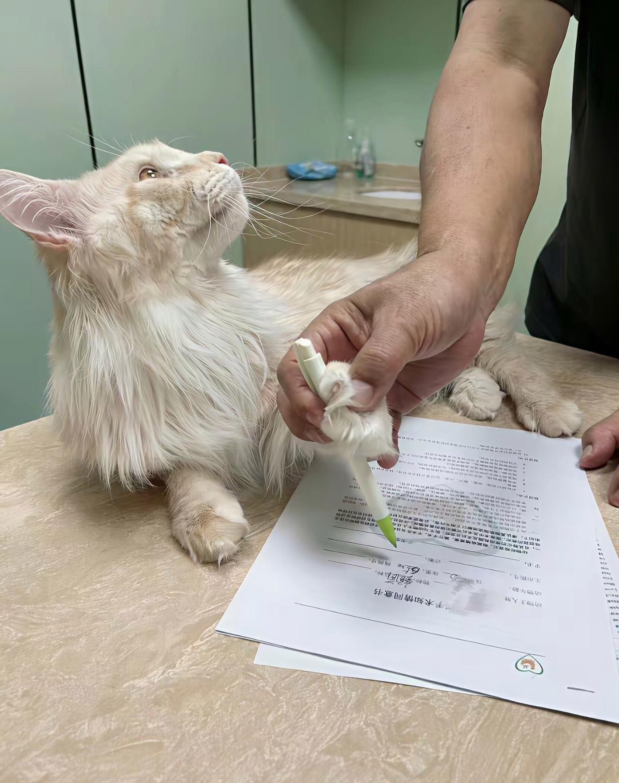 阚清子，终于和过去的自己握手言和了。  3月18日，她主动发动态，跟大家分享自家