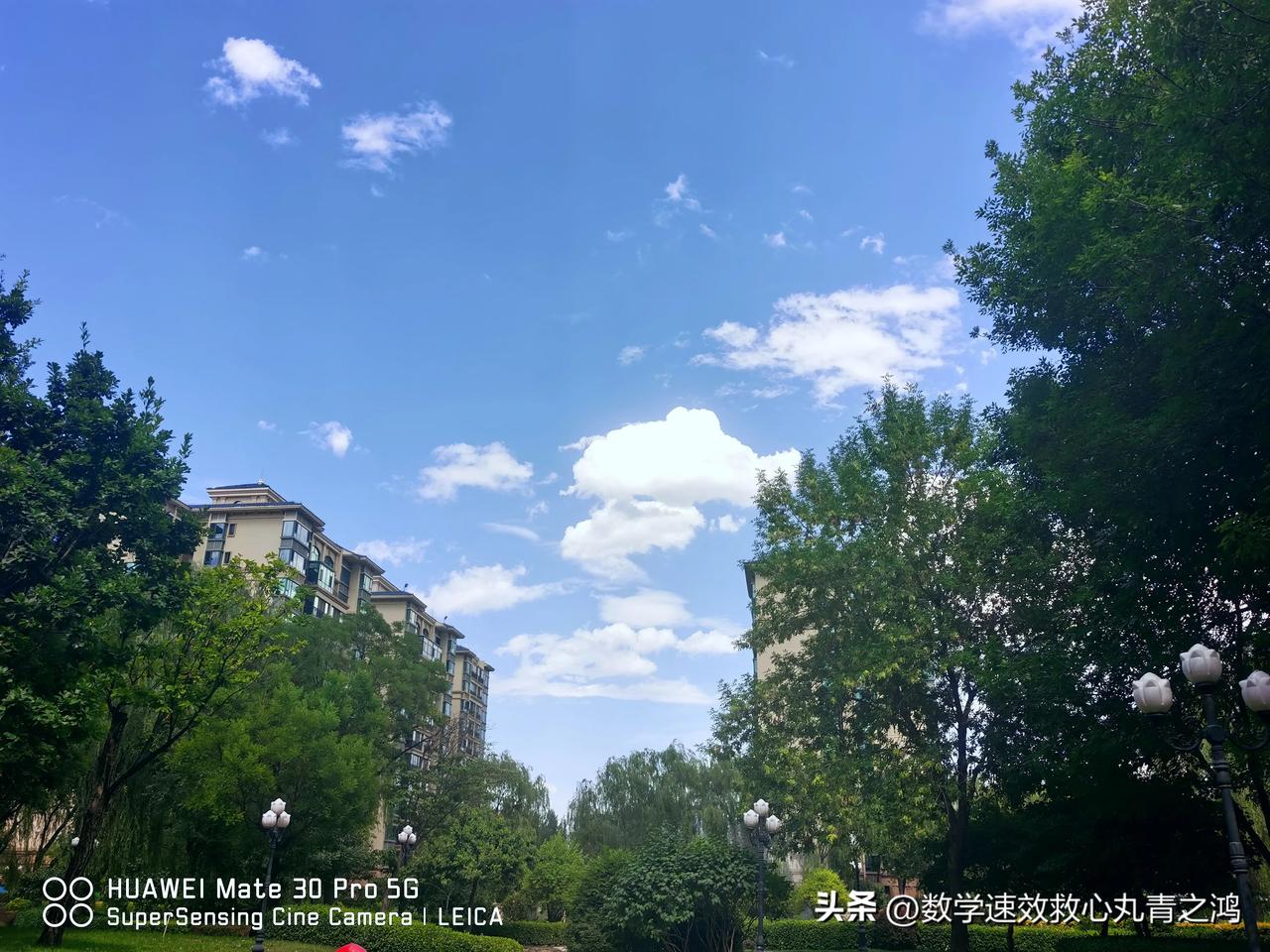 一只小鲨鱼🦈