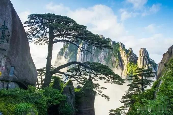 #黄山是否值得一去##热门内容分享#“五岳归来不看山，黄山归来不看岳”大旅行家徐