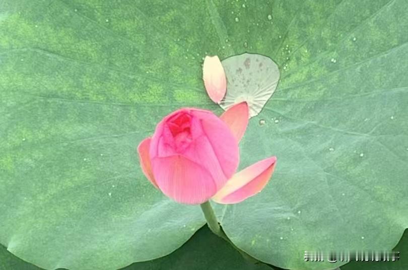 [锦鲤到来]客户常见的顾虑问题

一、直接要方案的
老板，您需要的是一套根据您的