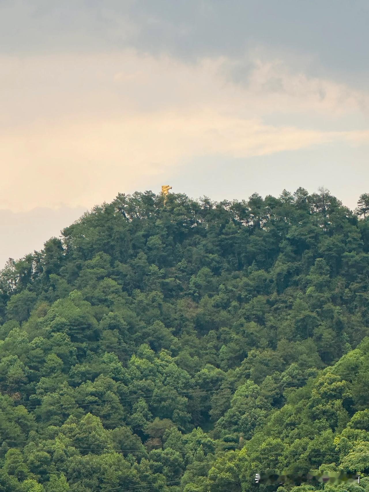 【重庆又下雨了，你被“局部”了没得？】9月7日下午4点半，坐标南岸南山，又下雨了