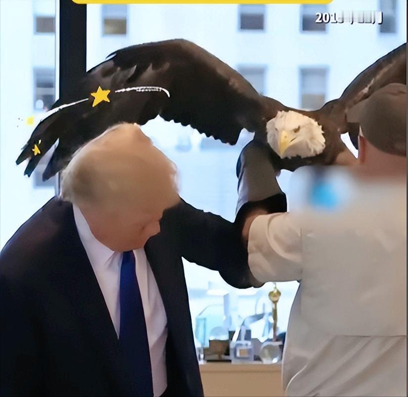 笑不活了，十年前一段被尘封的关于特朗普的花絮最近突然爆火，看完直接笑到捶桌。
 