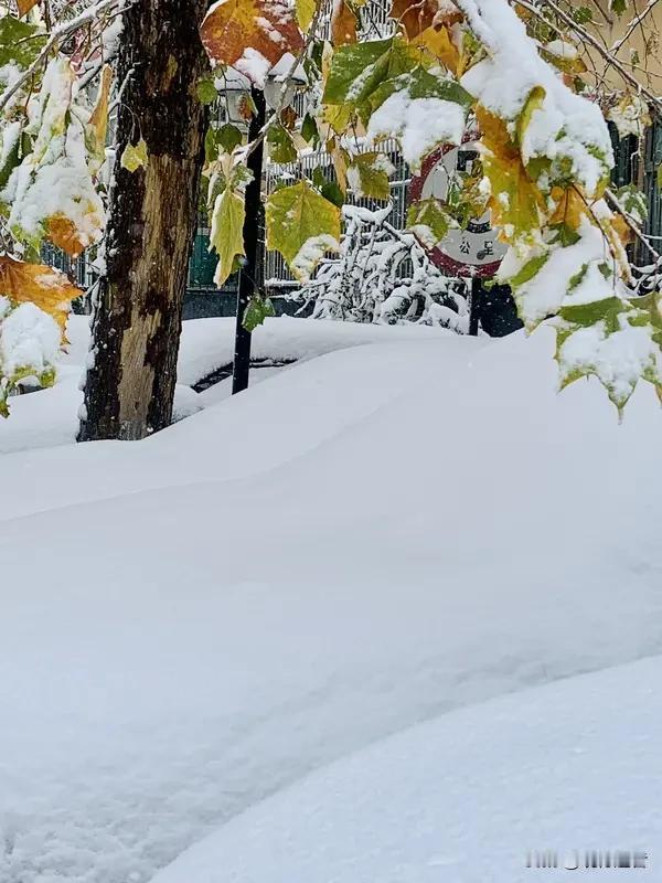 停运、暴雪、断崖式降温！近日，北方寒意渐浓，南方气温也屡创新低。我们广东因台风将