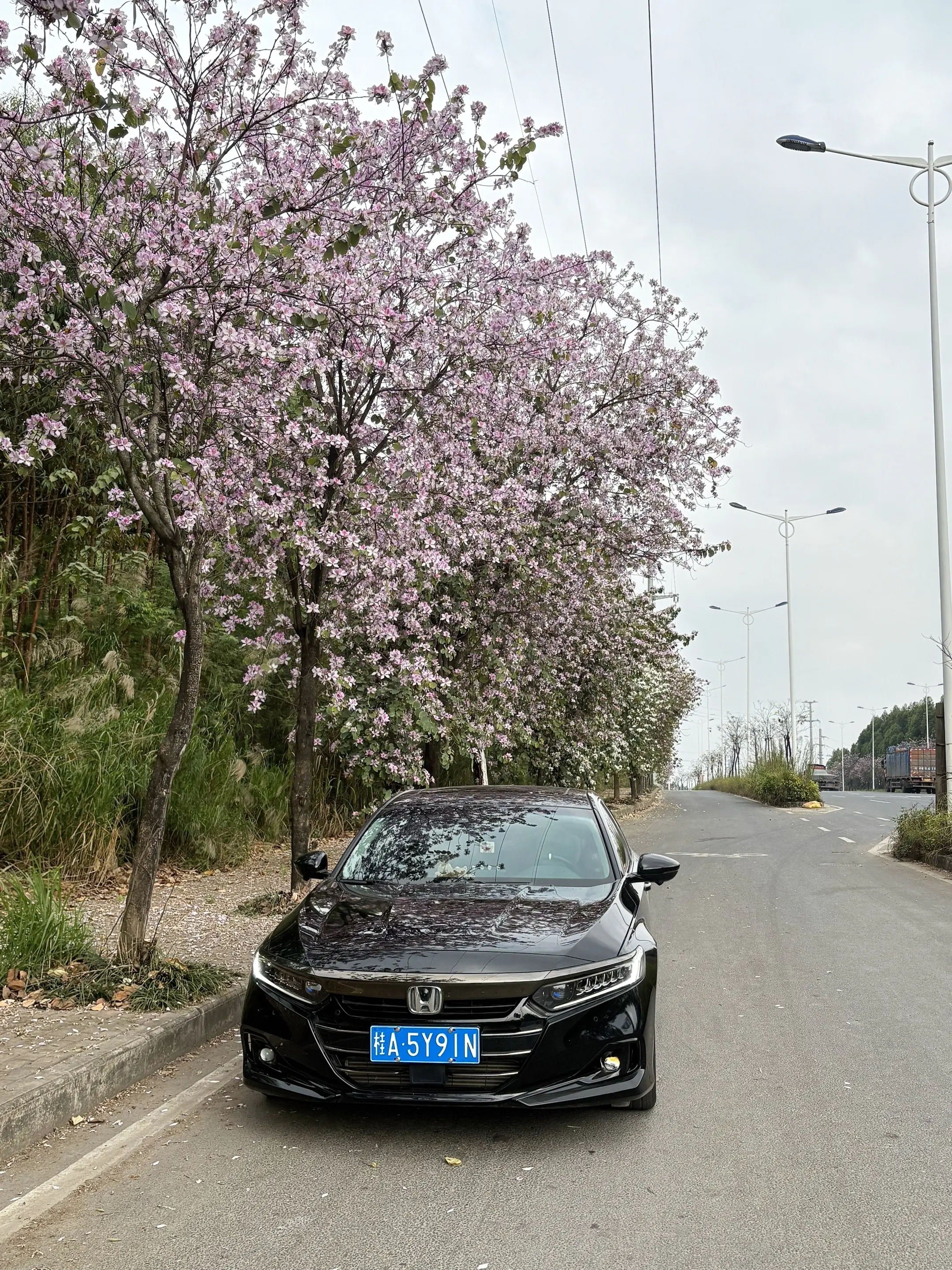 开雅阁的都有品 有品的都开雅阁