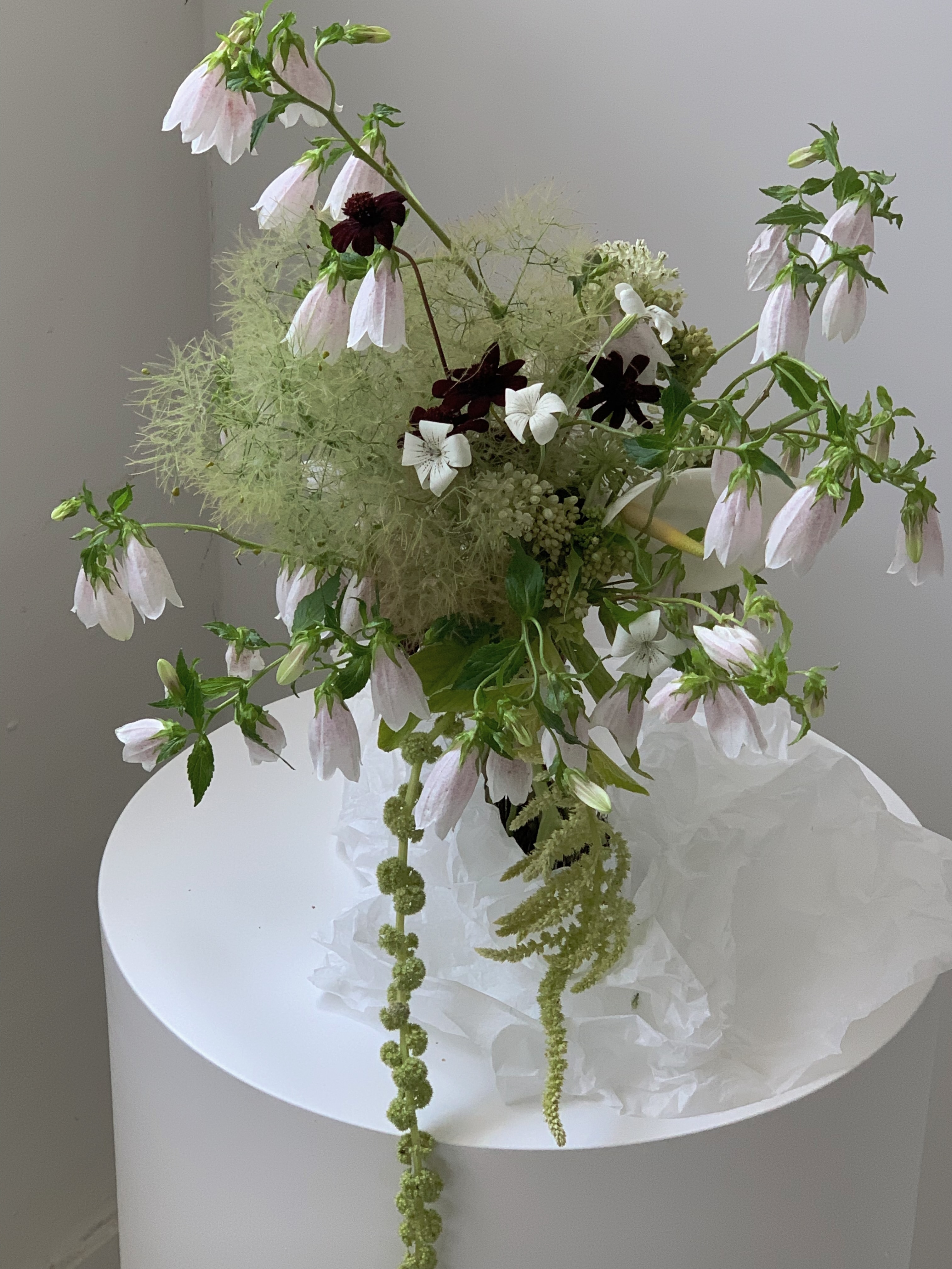 分享美丽花束来自 orf.flower  