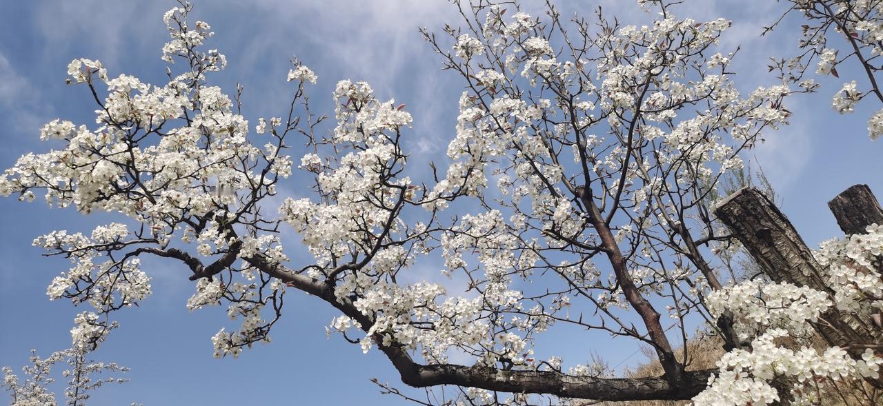 这几天驾车在西安新筑多次进出高速，发现一个奇怪现象，ETC车道没有堵车现象，人工
