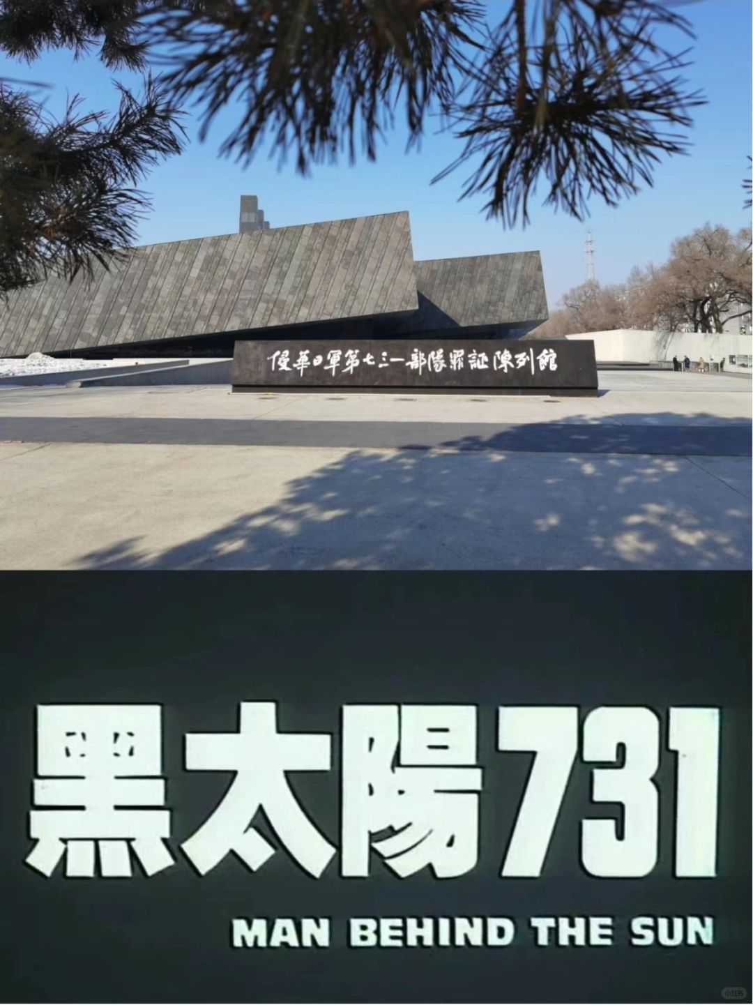 如果这个冬天你要去哈尔滨