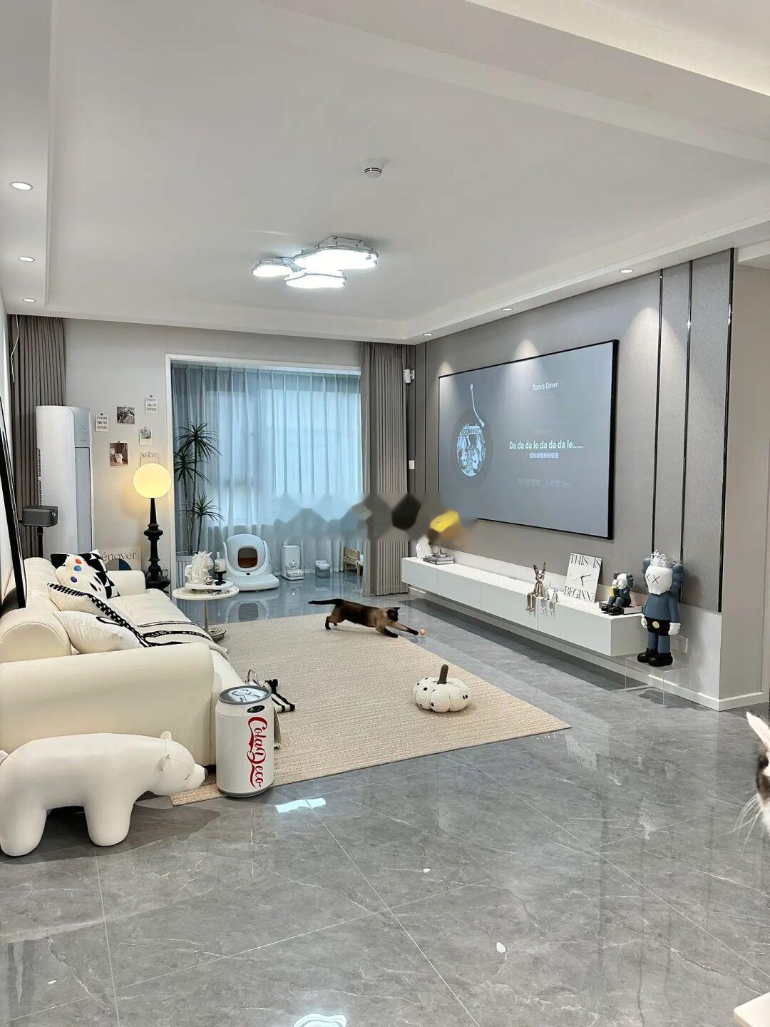 两人两猫🐱住进梦中情家！舒适又温馨呀！🏠