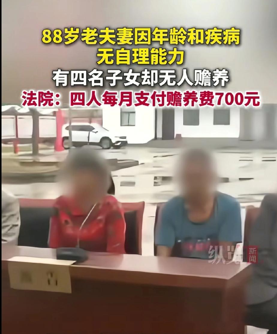 88岁老夫妻起诉四名子女
这对老夫妻有一人今年突发脑梗
身体机能下降，而另外一个