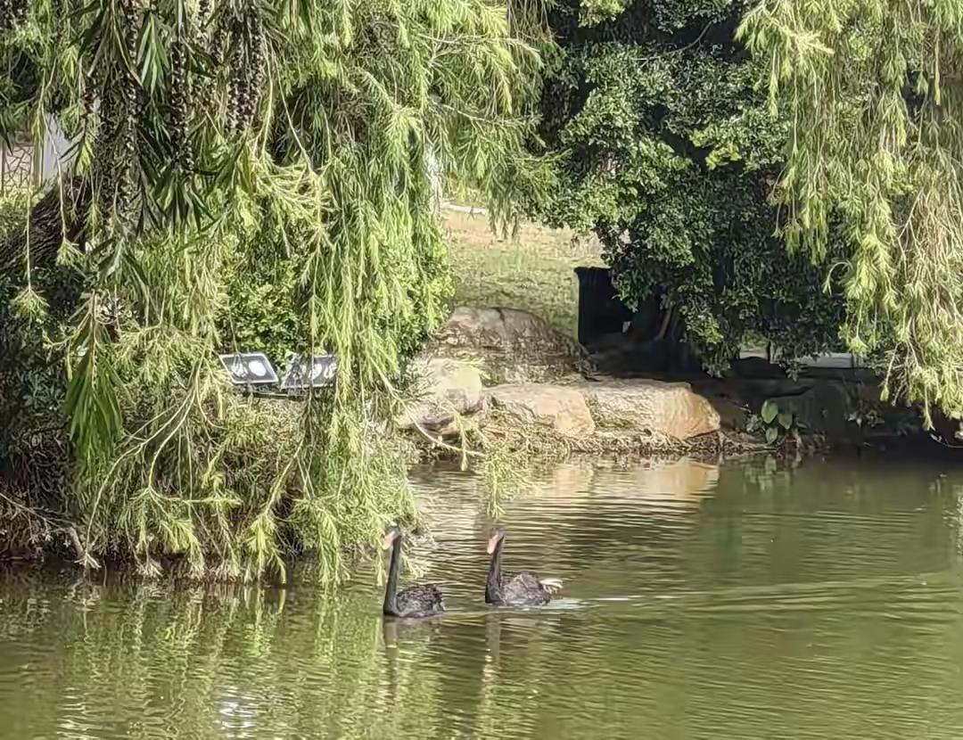 人生如白驹过隙，转瞬即逝。我们常常在繁忙的尘世中迷失方向，忘记了生命的真谛。其实