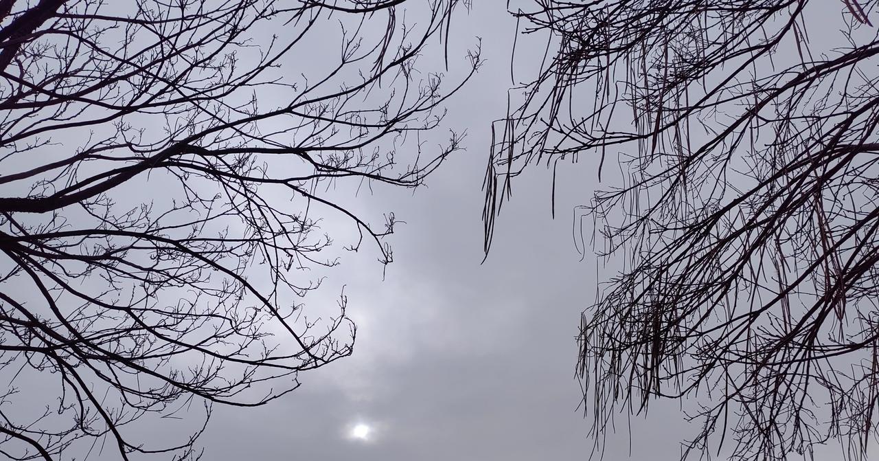 小日本向北望，心情一片伤。北方四岛、独岛归来没希望，个个怒目而视冒火光，历史账，