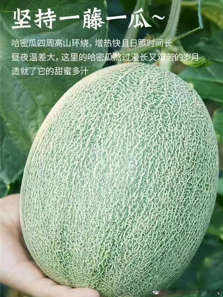 【赛事预告】明天 10:30鹈鹕vs快船  🏀1. 2. 评论区预测哈登数据：