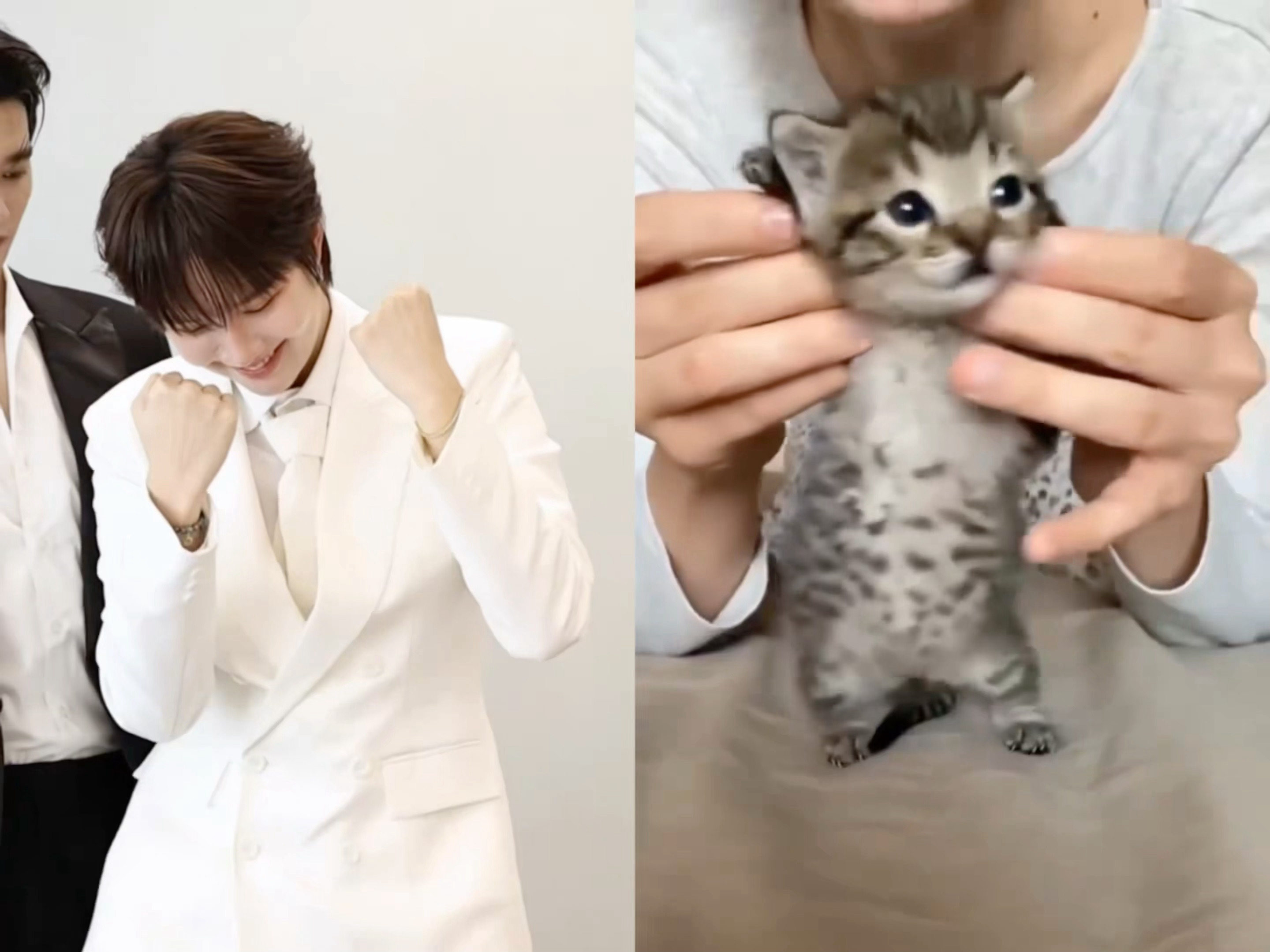 小猫扭屁屁🐈🤏🏻 ​​​
