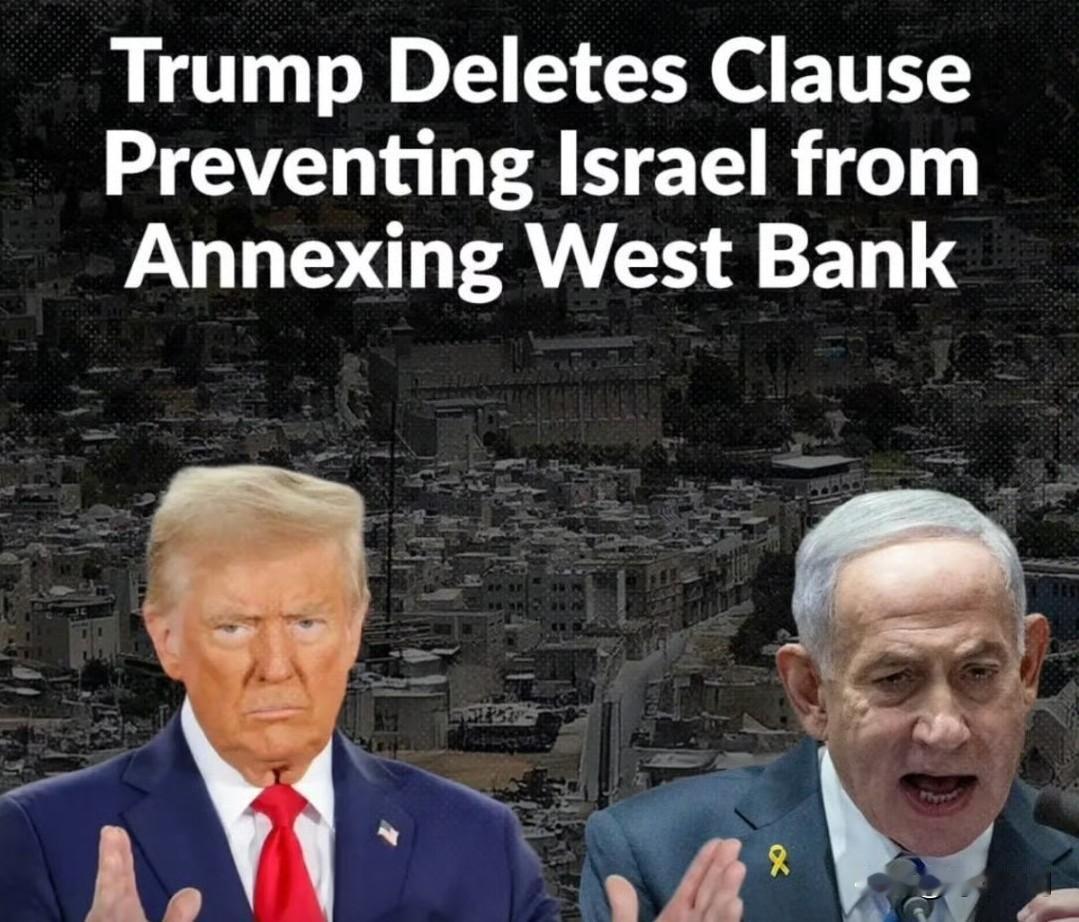 特朗普悄悄删除了阻止吞并西岸的条款

一位美国前外交官透露，特朗普的加沙计划最初