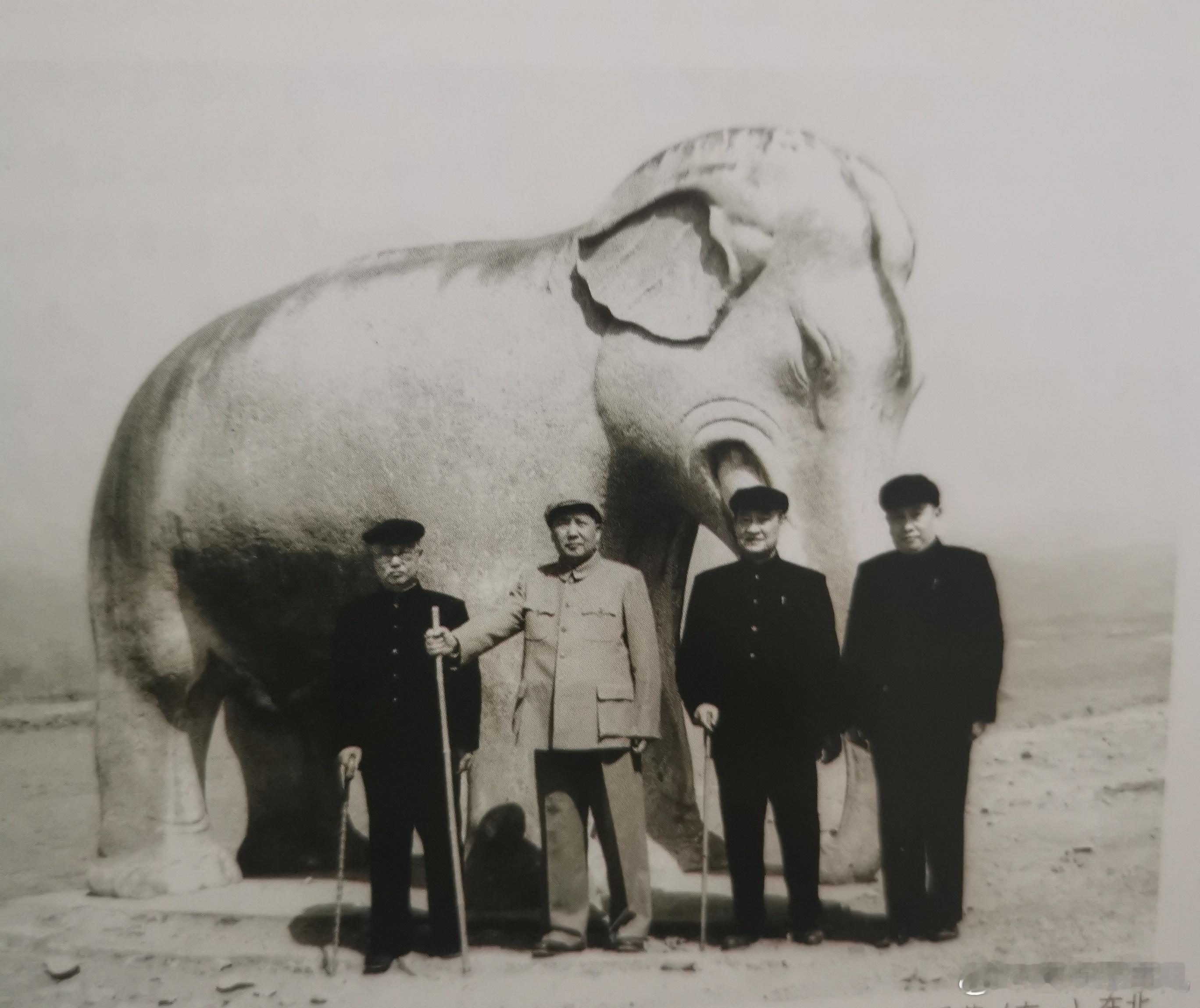 许多人游览北京十三陵时，要在这大象前留个影，无论是平民百姓，还是各界名流……据说