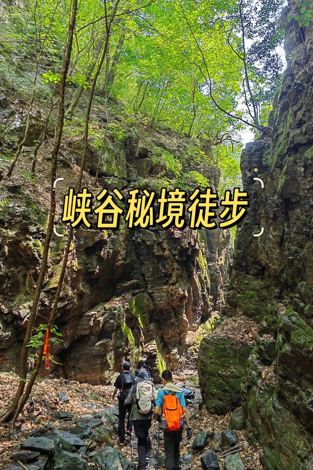 夏日探山，周六徒步峡谷秘境🏔🏞
