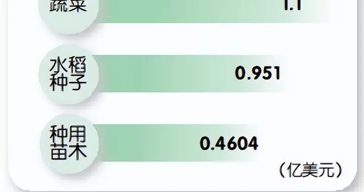 深入研究杂交改良，中国种子为世界带来什么？