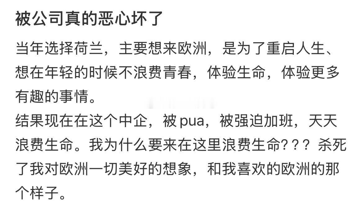 我来荷兰是为了重启人生的，不是为了浪费生命的 