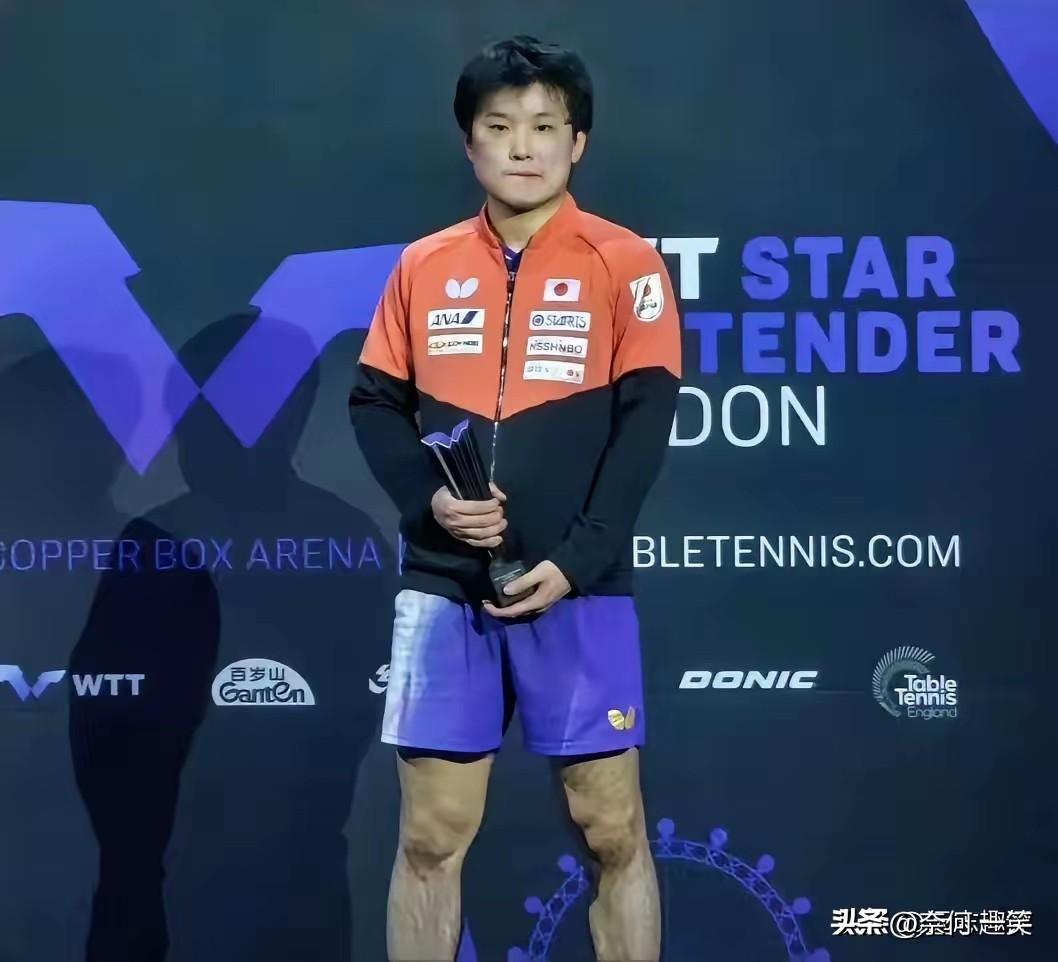 看看张本智和的样子
从打败台林的狂妄
变成一只斗败的鸡
嚣张跋扈的气焰灭了
可能