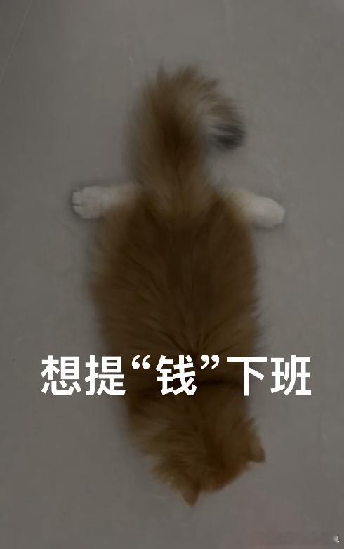 好了，今天的微博就分享到这里了，接下来的时间跟进好实盘就准备下班回家休息了，朋友