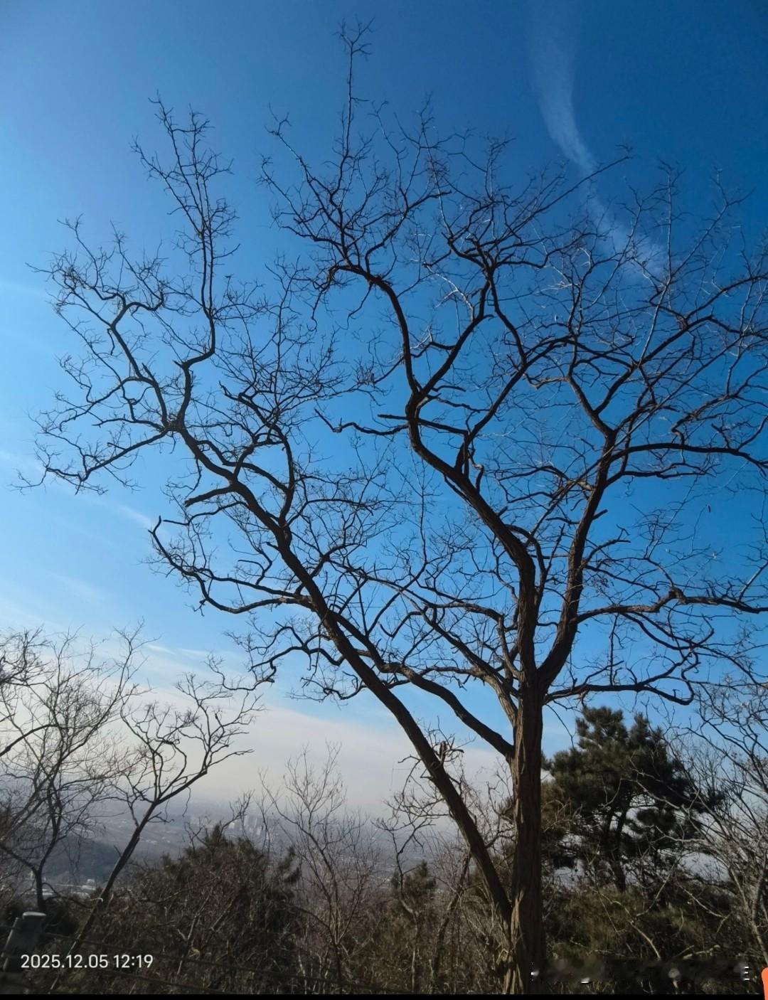 或许有人会觉得这话“不合时宜”，甚至可能会有人阴阳怪气，但善良与正义从不是过时的