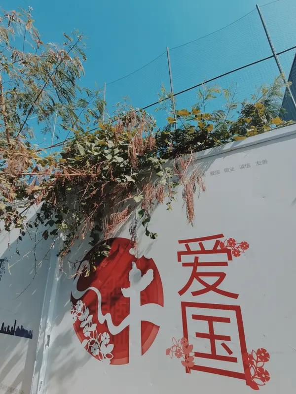 童年
纯真诚灿烂，桃李艳长堤。
家国辛勤建，他年擎柱奇。