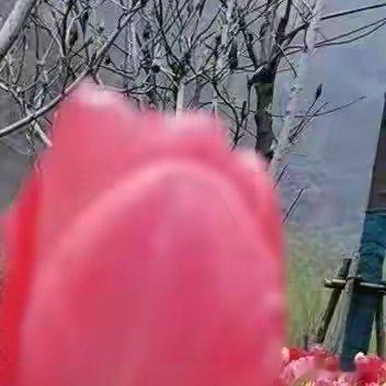 喜欢占小便宜的人，一旦遭到别人的拒绝，反倒觉得别人吝啬，拒绝不是因为在乎那点小便