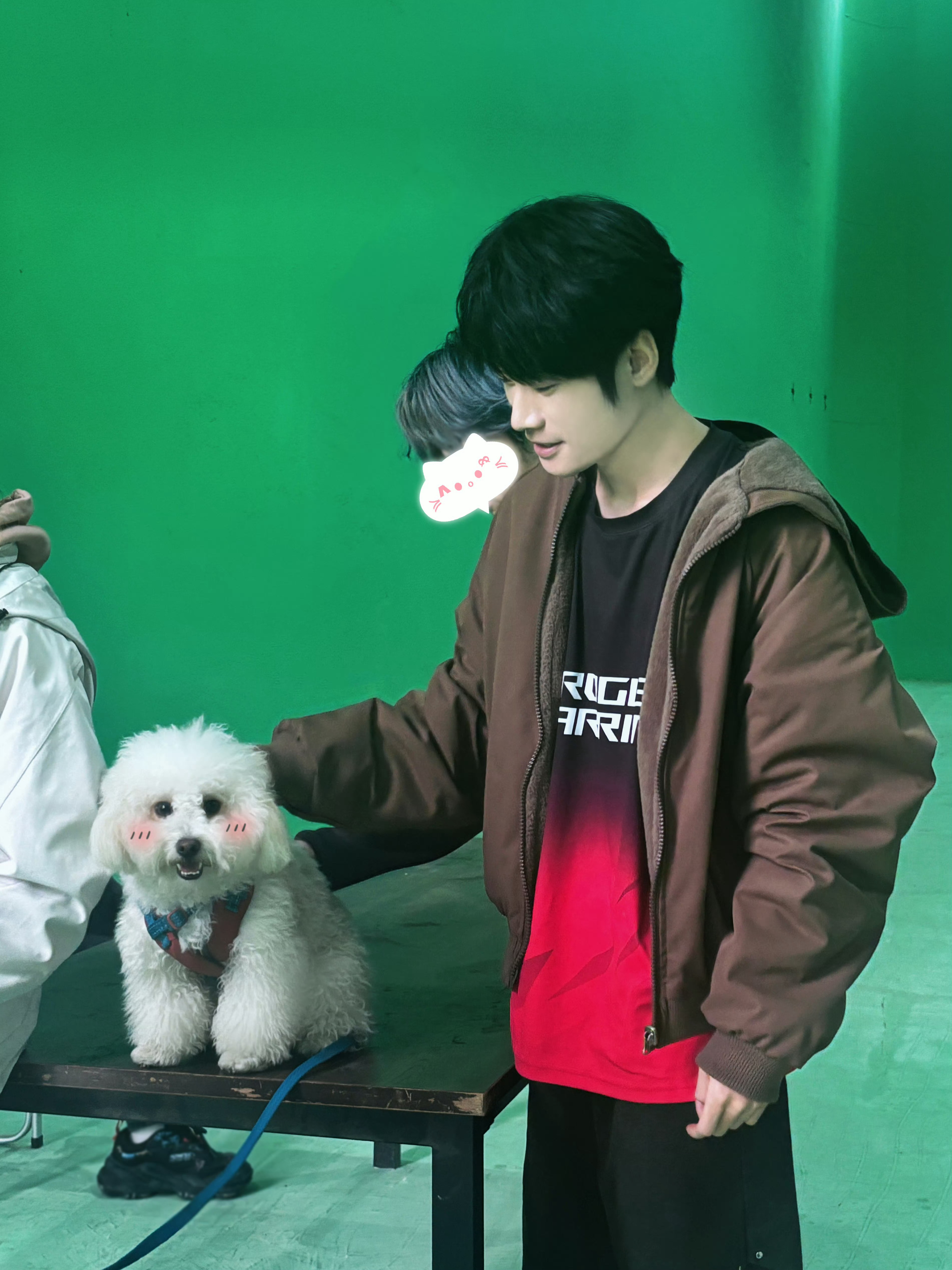 公主永远的神  小狗萌！淼公主也萌！2026pel春季赛2026pel