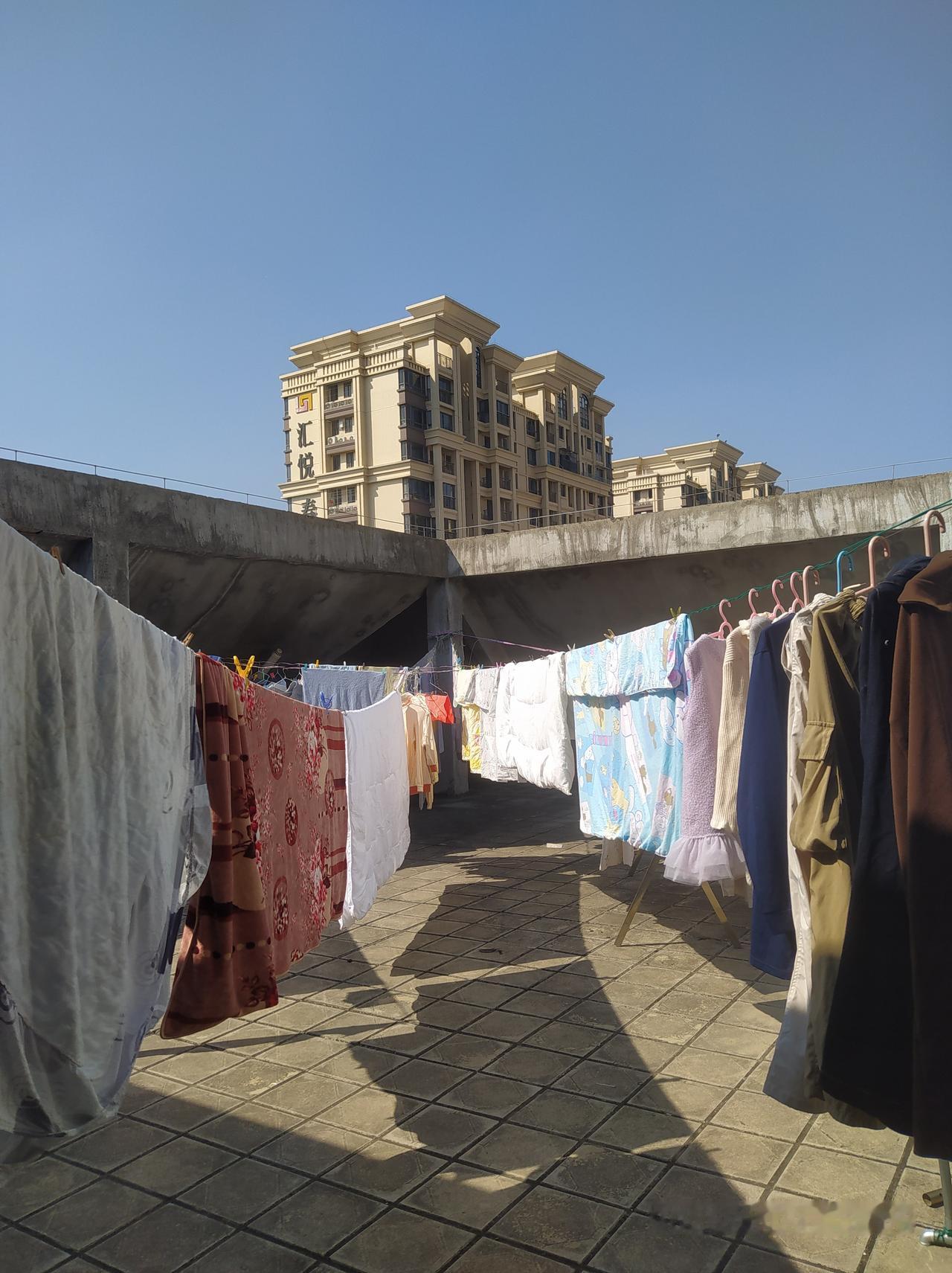 闹钟在枕头下装睡
我跟被子商量了好久
才把它从床上“请”下来
阳光早等在阳台
张