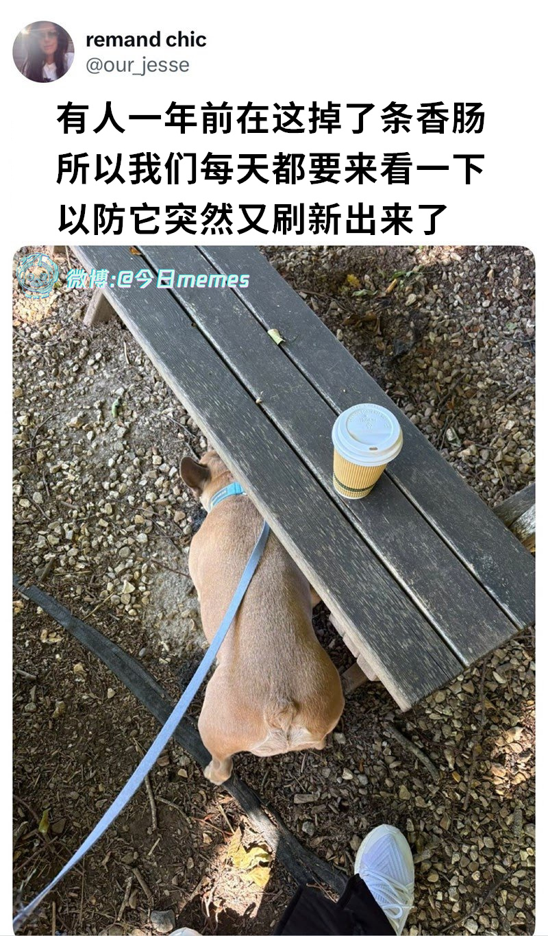 无对照实验（our_jesse)今日meme[超话]今日memes ​​​