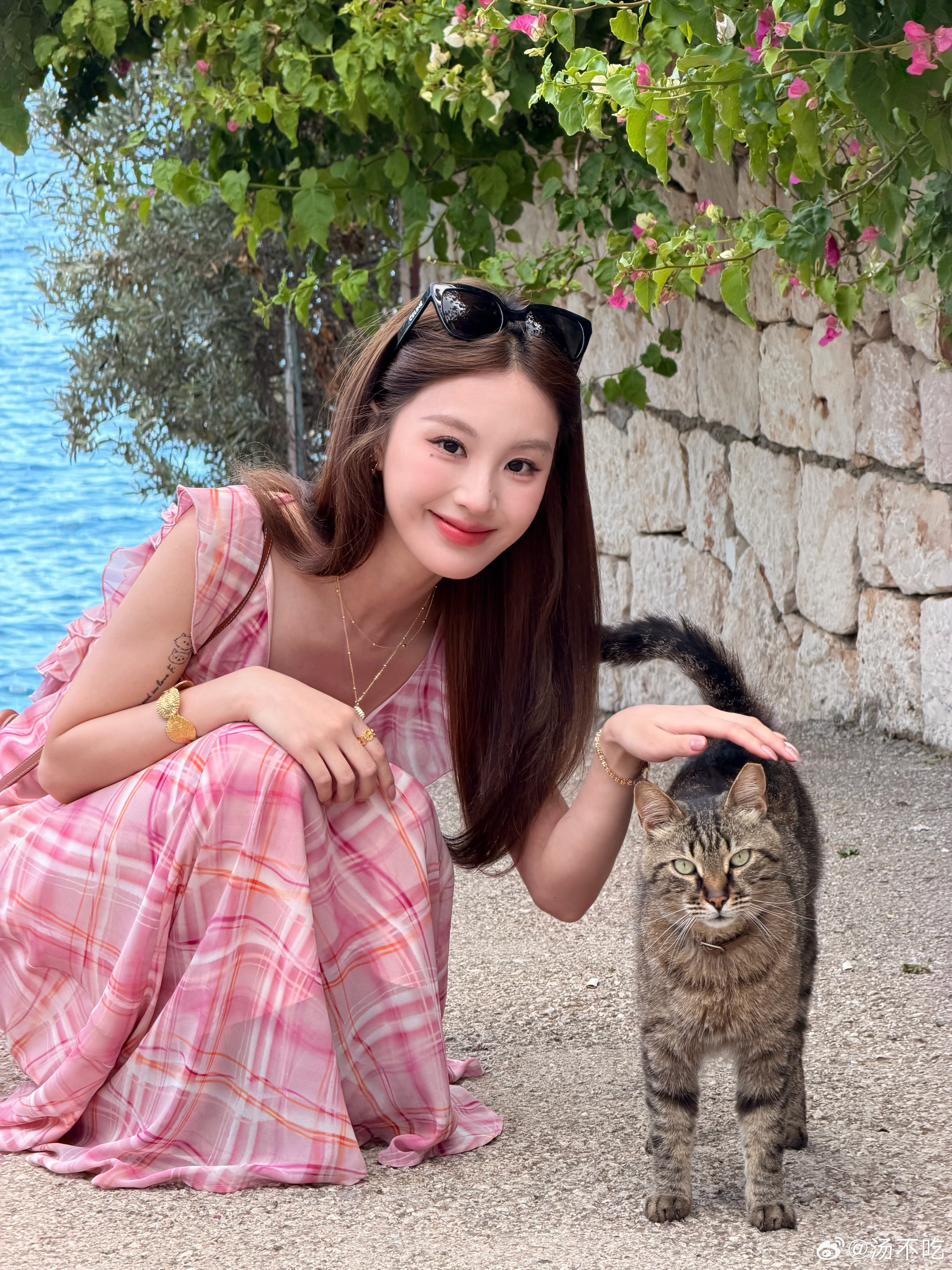 你说人生艳丽 我没有异议 土耳其·卡什