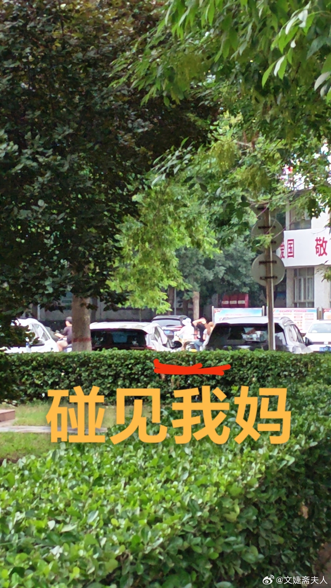 迪丽热巴拍功夫女足同一时期长这样文婕斋主人 李冰 南阳 唐河 