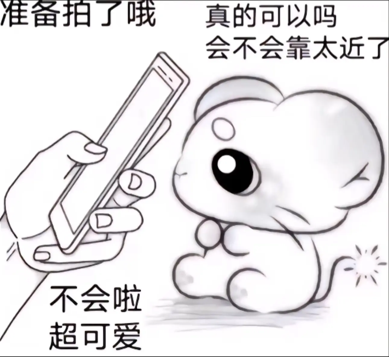 甜妹 玩梗