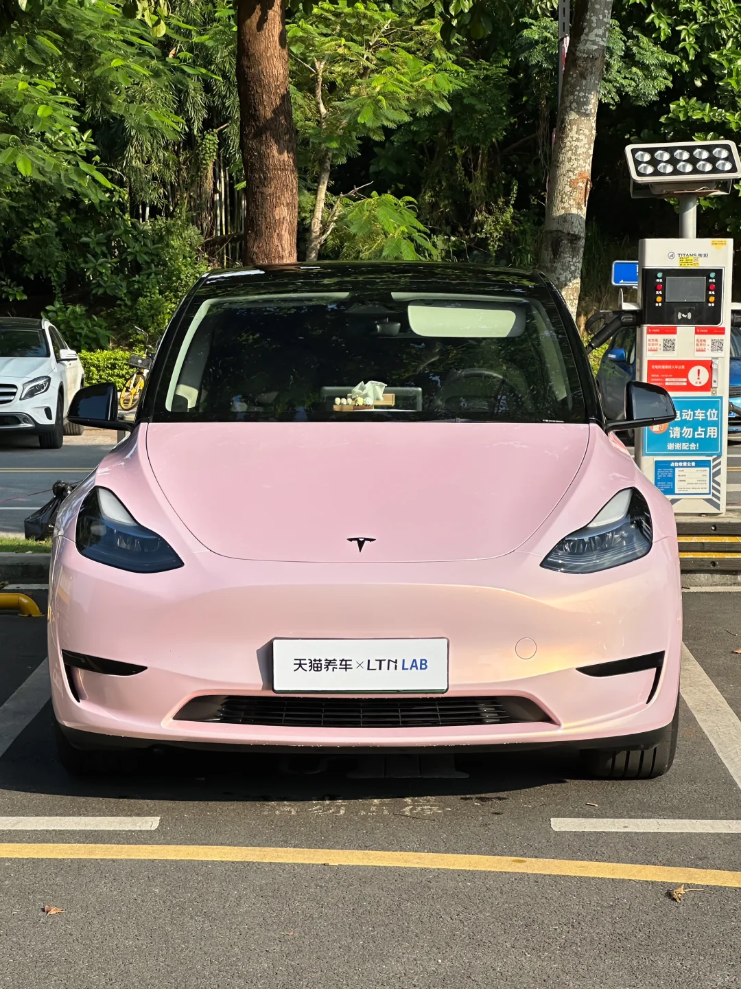 Model Y｜小众香槟粉🍾💞