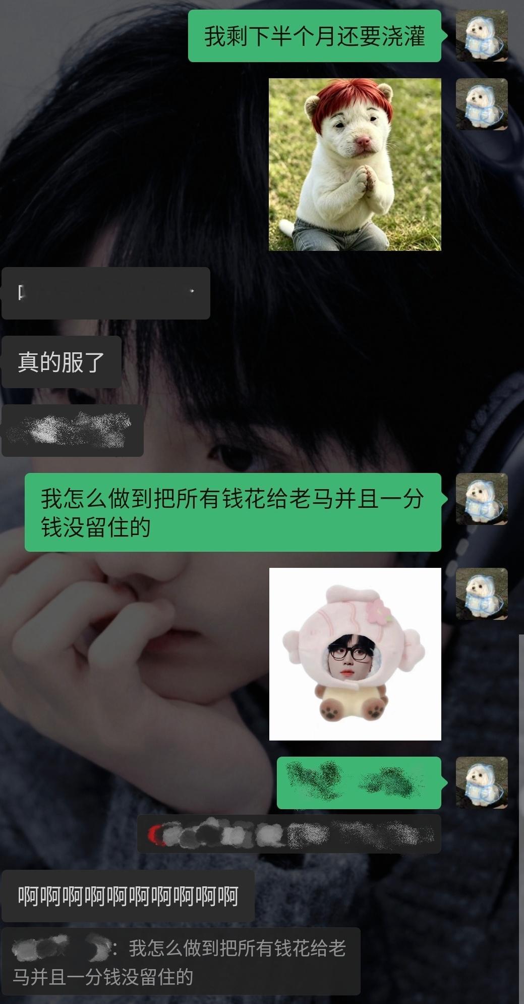 分享图片 