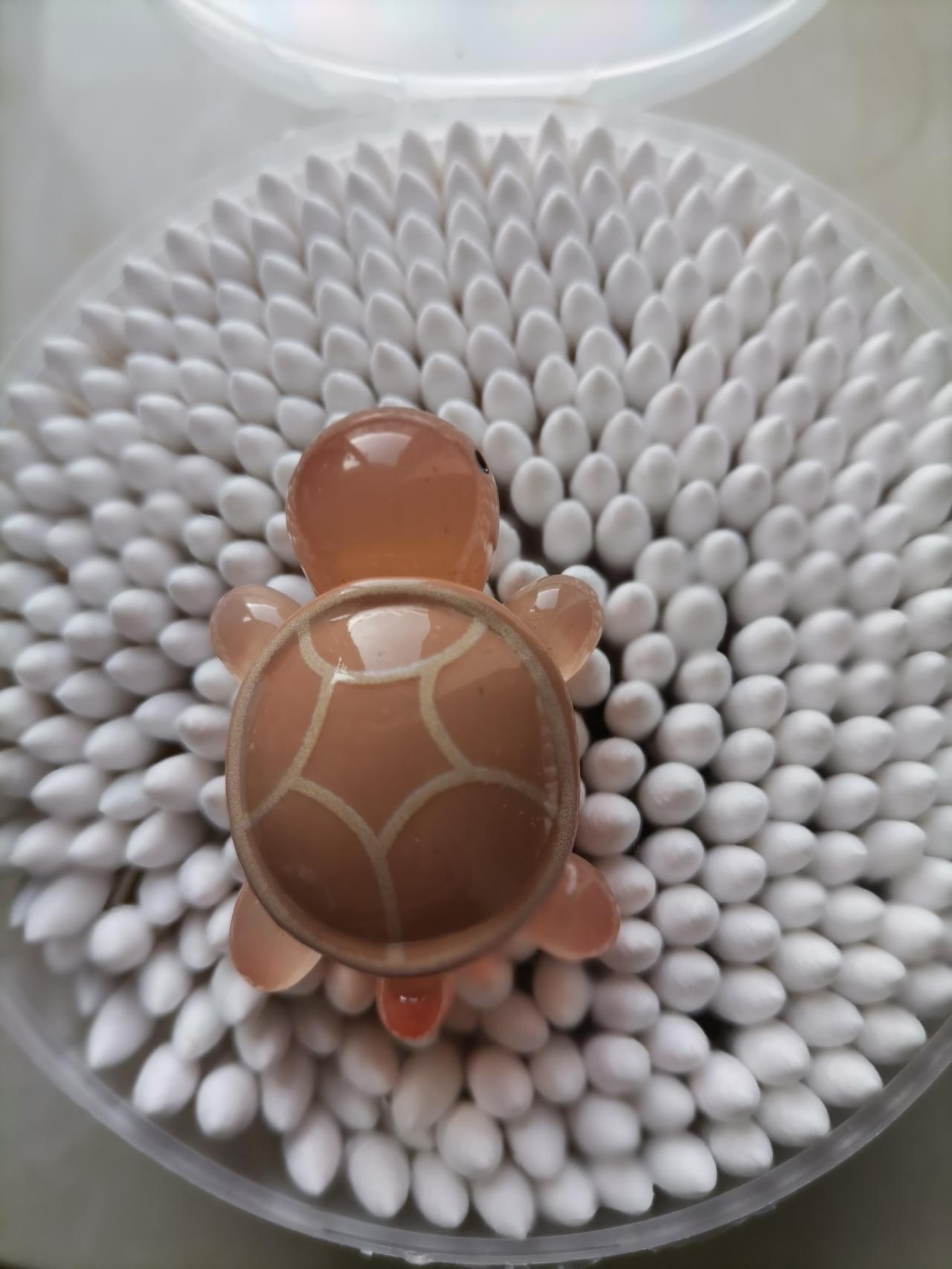 《一定要管住嘴》
嘴的两大功能：一是用来说话的，二是用来吃东西的。咱们的嘴巴不能