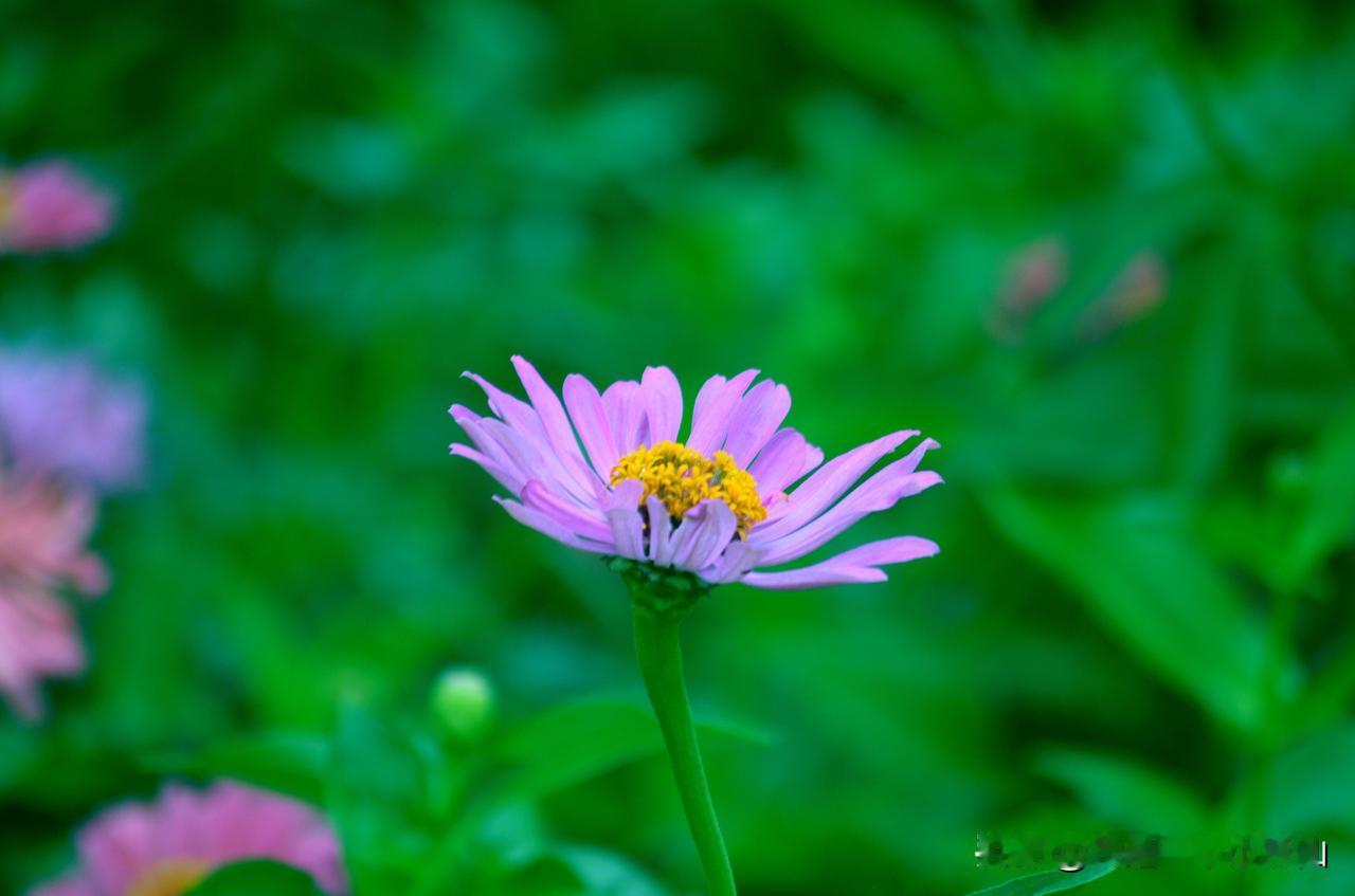 #房价再涨一轮，你会怎么办#
房价再涨一轮，我会怎么办？
我会带个板凳去排队，现