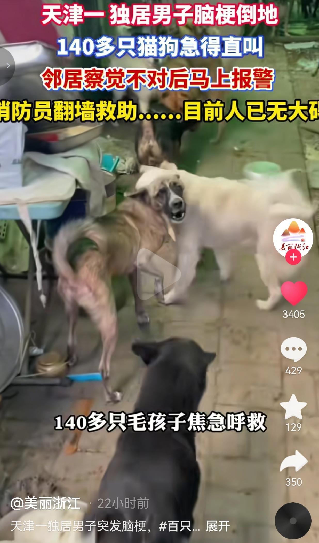 善有回响这句话，在这个院子里实实在在应验了。
 
天津一名独居大哥，这些年一直在