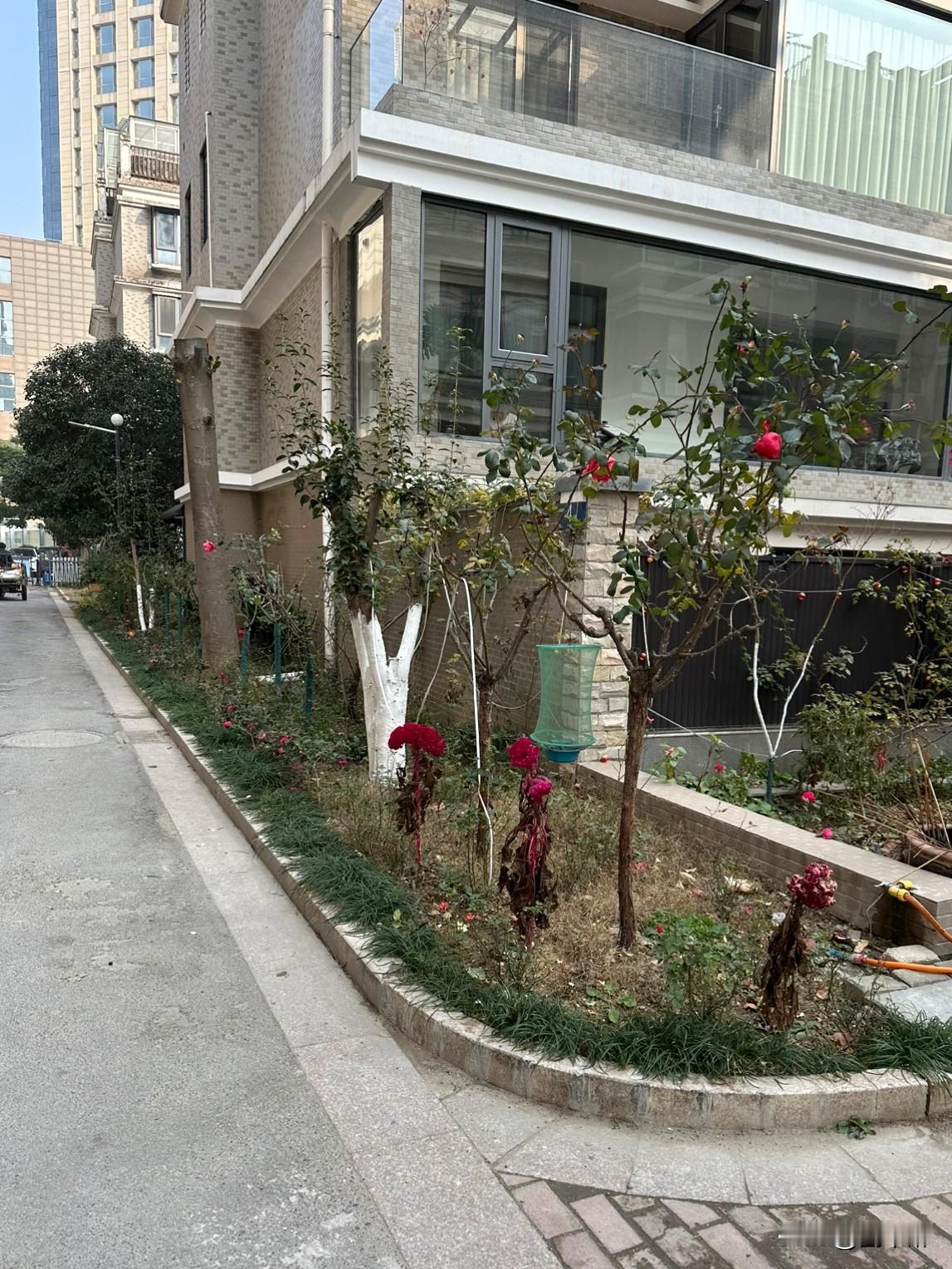 1、2026年最大的愿望是实现祖国完全统一；
2、头条收入再破30000元；
3