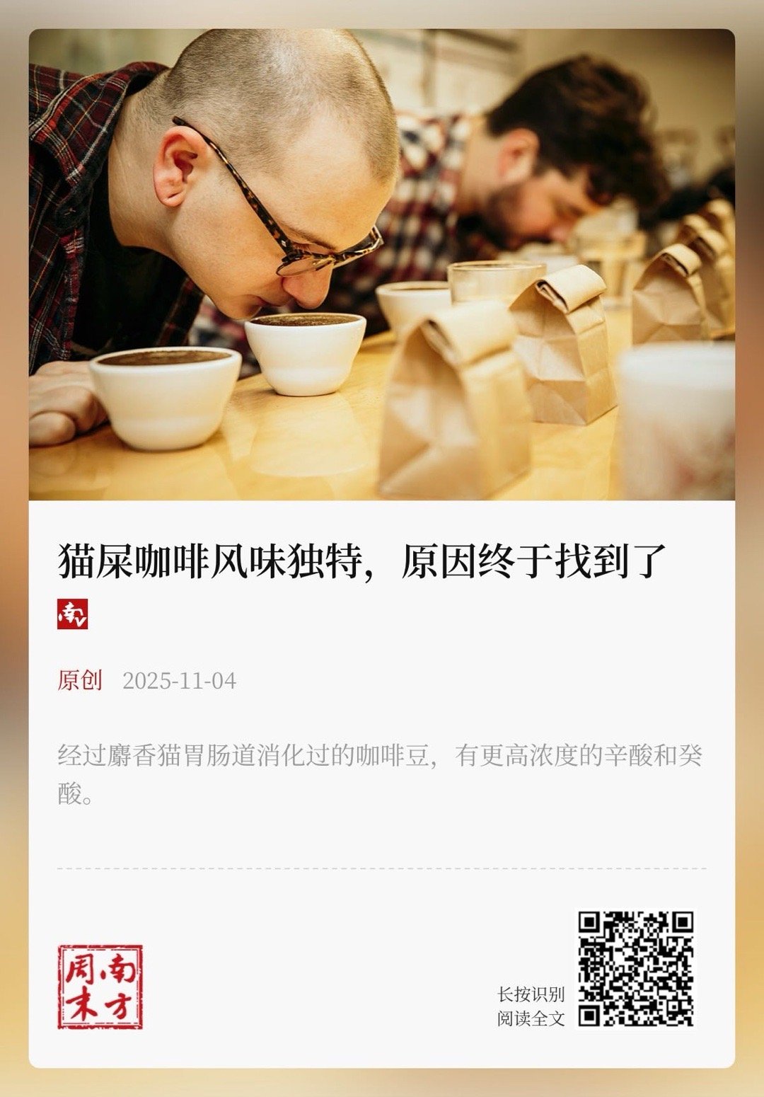 【猫屎咖啡风味独特，原因终于找到了】　　（ 「南方周末」原创内容 2025年11