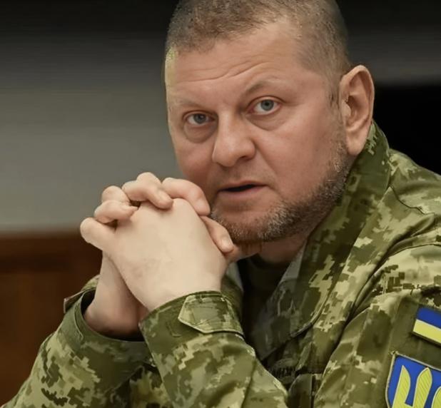 乌军前司令扎卢日内说了一句大实话，这个世界上没有任何一个国家能阻止俄乌战争，美国
