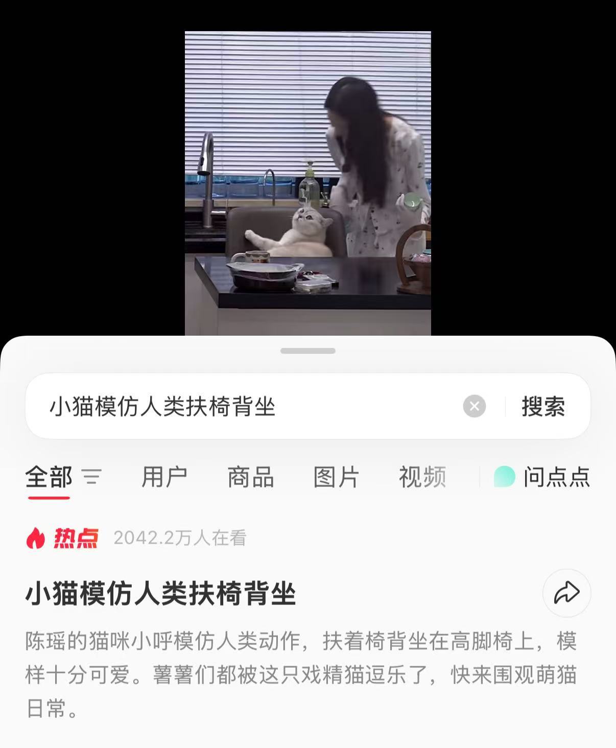 呼少你真的火了陈瑶李意迟 🩷陈瑶我家那闺女 ​​​