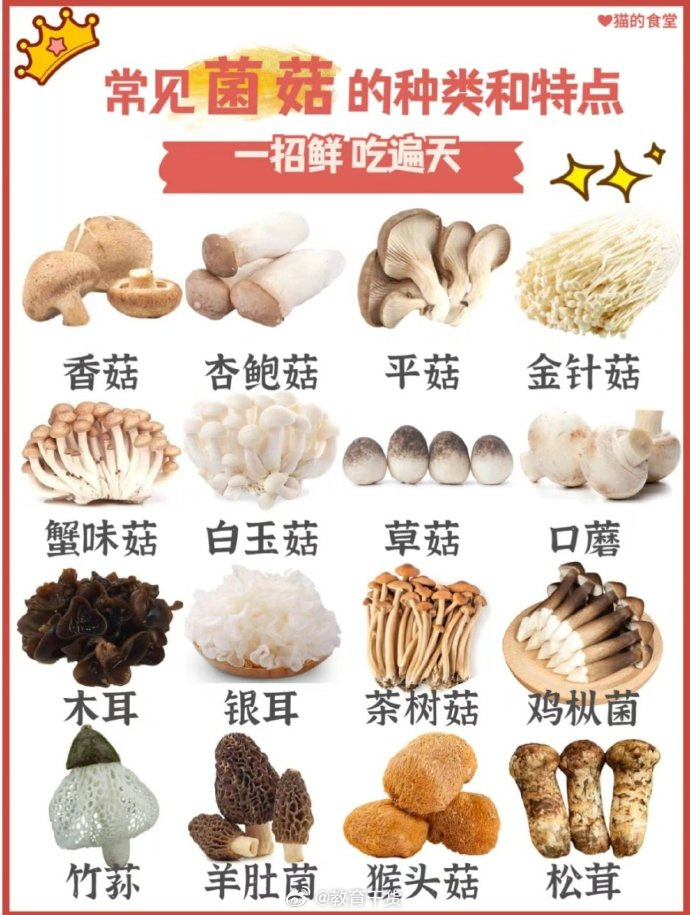“  常见菌菇的种类和营养价值 …  ” ​ ​​​