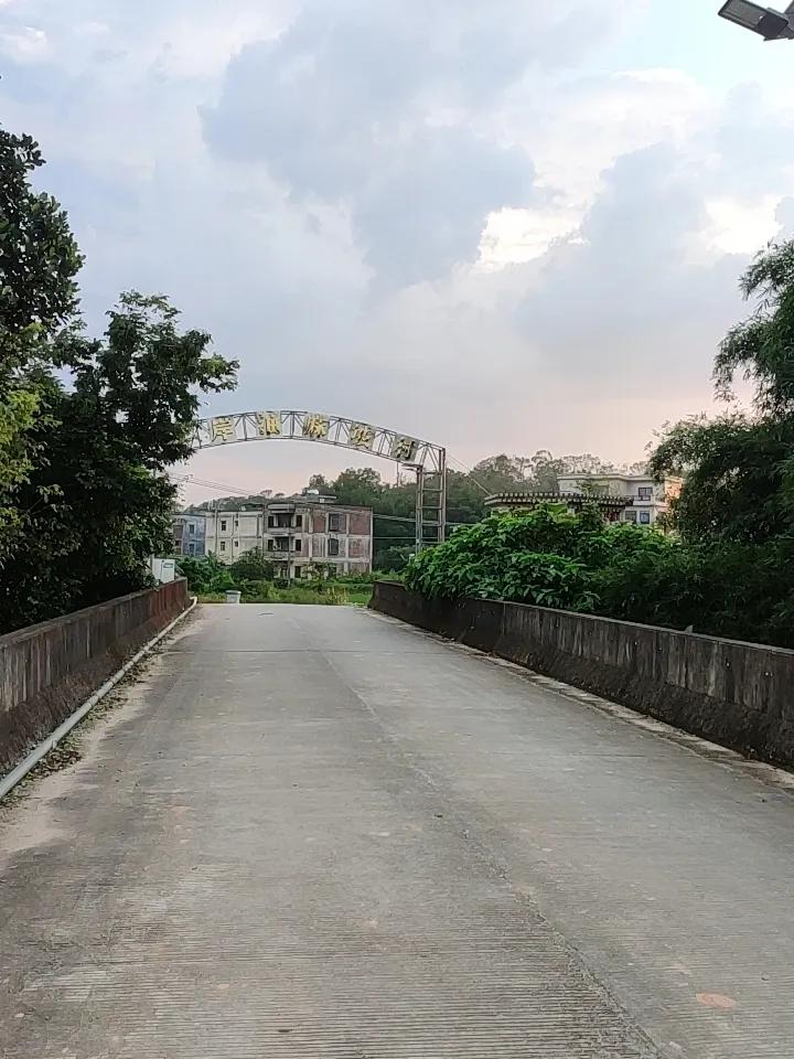 上周回了趟苏北老家，顺着村西头的土路晃悠，随手拍了张照发朋友圈，结果二十多个人追