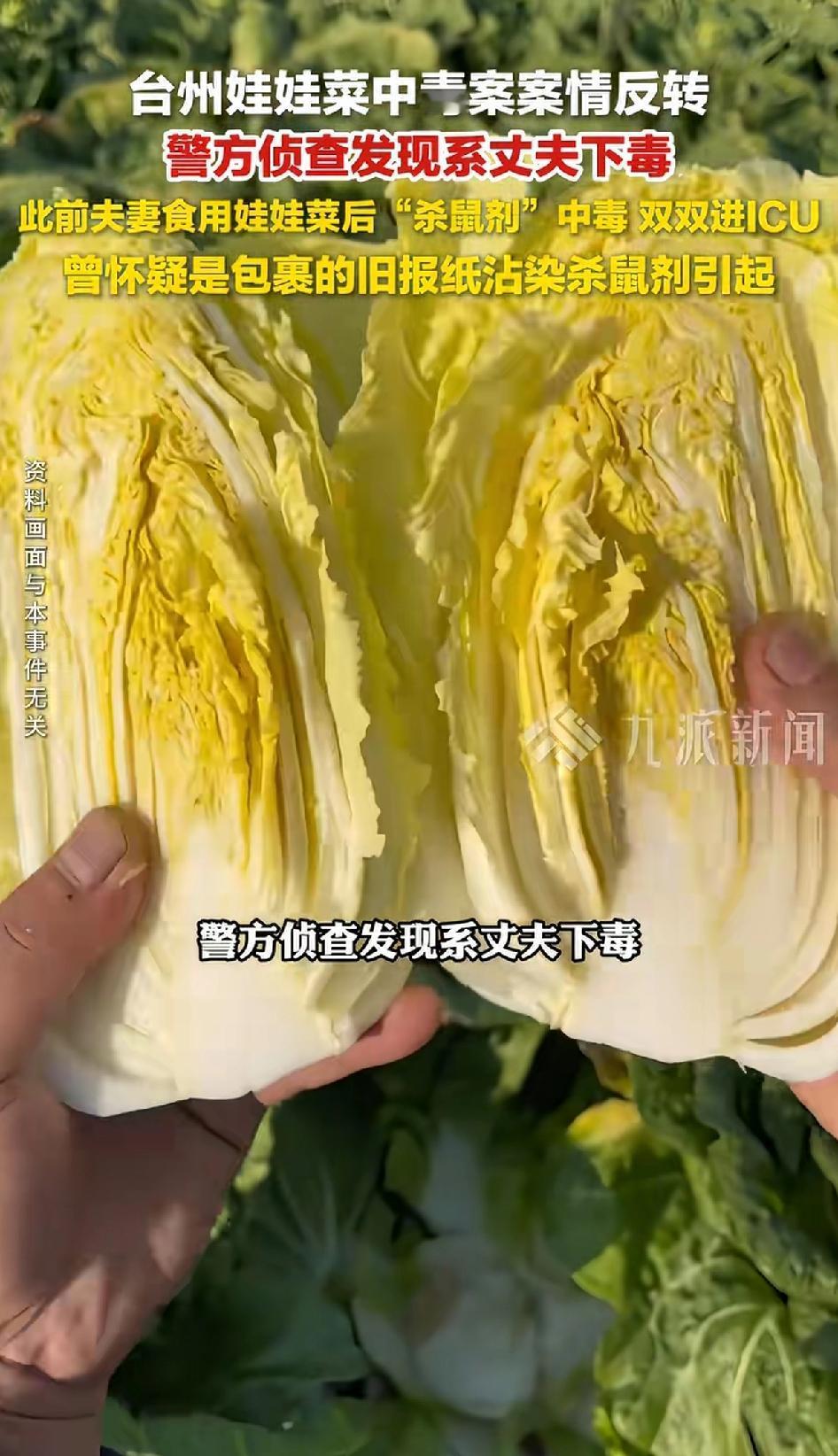 台州娃娃菜中毒案案情反转，警方侦查发现系丈夫下毒。此前怀疑是抱娃娃菜的报纸沾了毒