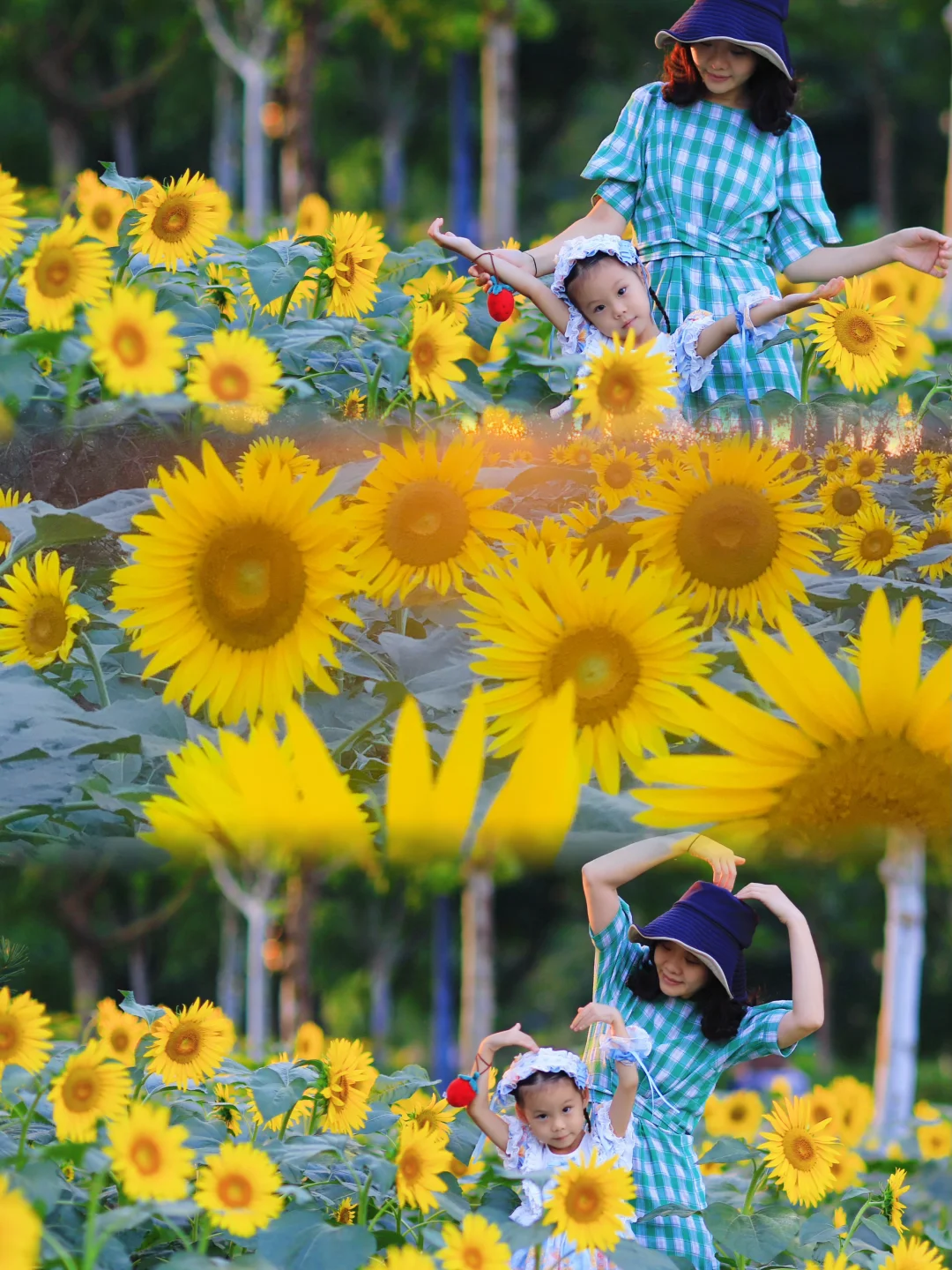 9.14实况🌻🌻超大片向日葵花海居然无人拍🔥