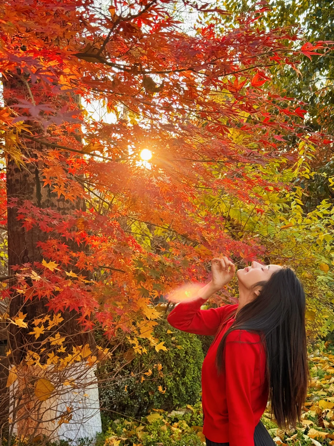 11.20live实拍🍂农业展览馆秋色太美了吧‼️