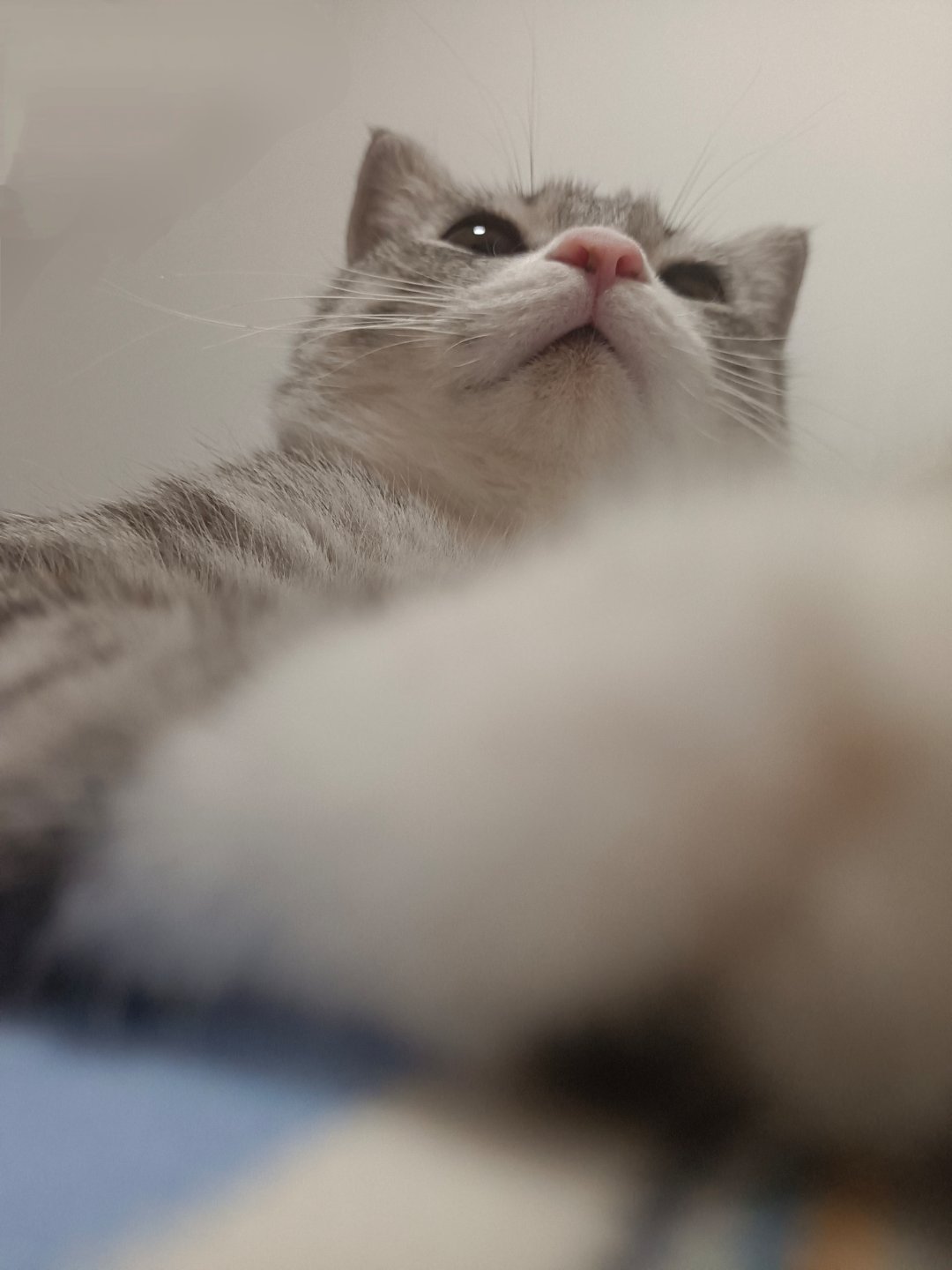 别笑，你也过不了第二关 ​​​