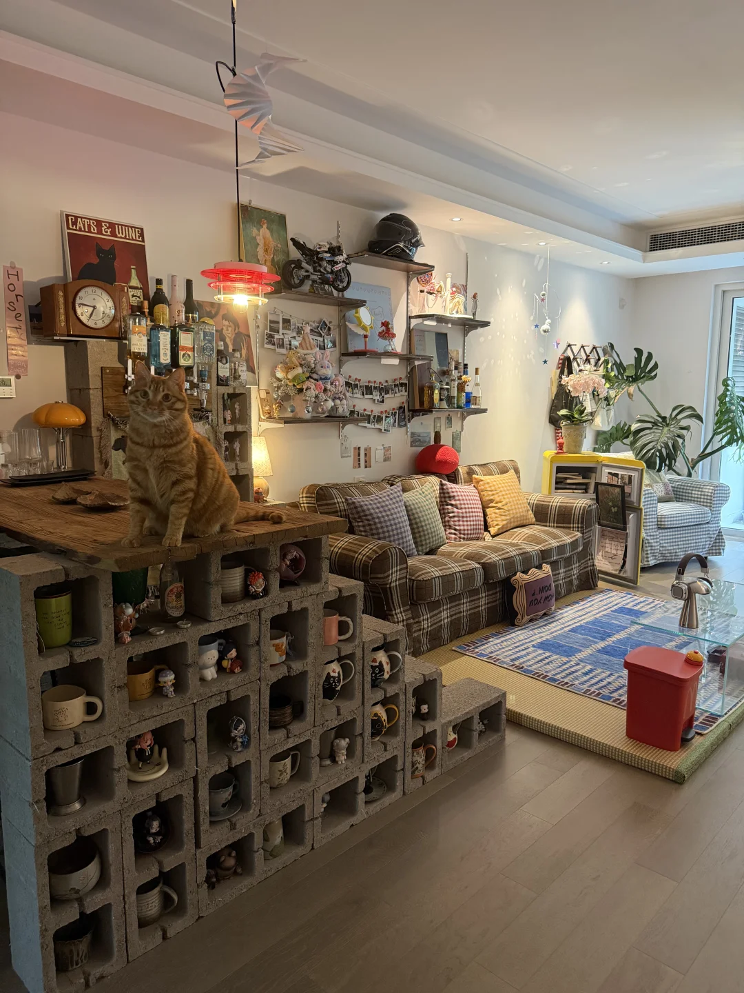 砖门为自我设计的家🏠